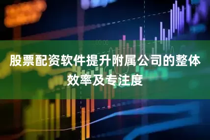股票配资软件提升附属公司的整体效率及专注度