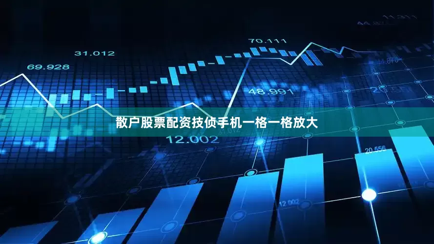 散户股票配资技侦手机一格一格放大